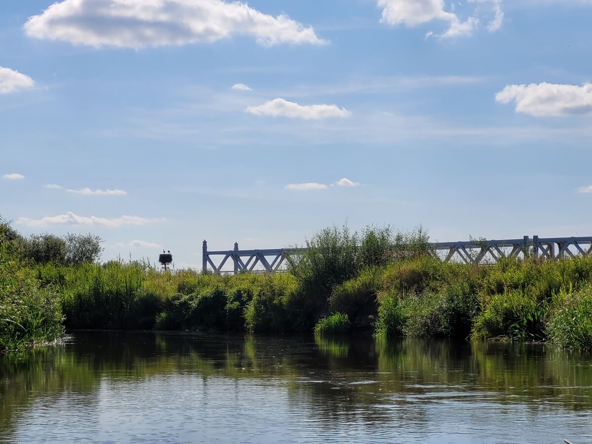 IV Spływ kajakowy rzeką Narew